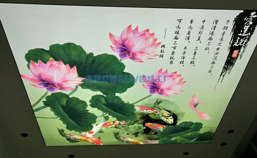 軟膜天花